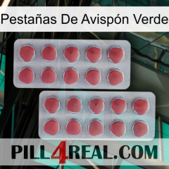 Pestañas De Avispón Verde 19